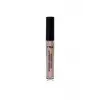 Make Up Highlighter 01