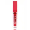 Makeup Lip Studio Matte Lip Gloss 7