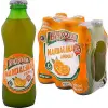 Mandalinalı Maden Suyu (6x200 ml)