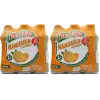 Mandalinalı Maden Suyu (6x200 ml)