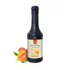 Mango aromalı püre sos 1.150 g