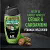 Men Cedarwood Duş Jeli 250 ml