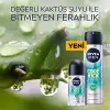 Men Cool Kick Fresh Roll-On Deodorant 50 ml 1 Paket (1 x 50 ml)