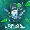 Men Thermocool Erkek Roll-On Deodorant Menthol & Blue Lavender 50 Ml