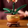 Mey İthalat® Botanicals Mini e 10343