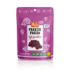 Mey İthalat® Pol’s Freeze Fresh Böğürtlen 20 Gr