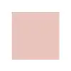 Mini Color Oje Rose Shell 5 ml