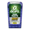 Mini Mints Nane & Ginseng Aromalı Şekersiz Şeker 12.5g, 12 Adet