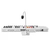 MiniFreak Vocoder - Vocoder özellikli, Mikrofonluı, Spontaneous algorithmic synthesizer