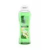 Moringa Duş Jeli 500 ml