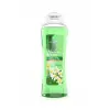 Moringa Duş Jeli 500 ml