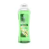Moringa Duş Jeli 750 ml