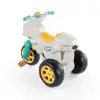 Moto Bisiklet Pvc Torbada Yeşil 2650