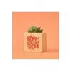Motto Tasarımlı Aşk Hediye Kutusu