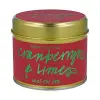 Mum, Cranberry & Lime Teneke, (2 paketi)