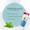 Nane Aromalı Diş Macunu 100 Gr