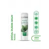 Natural Lipbalm - Mint Dudak Balmı 2li set