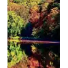 Nature Daily Journal