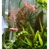 Neo Co2 Diffuser Normal Original L