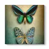 Neon Kelebekler Tablo 40 x 40