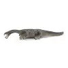 Notozorus
