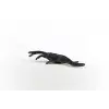 Notozorus