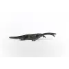 Notozorus