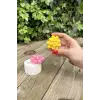 Obtusa Sukulent Mum Kalıbı (Silikon)