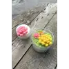 Obtusa Sukulent Mum Kalıbı (Silikon)