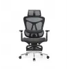 Ofis Koltuğu