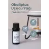 Okaliptus Uçucu Yağı 1 Paket (1 X 10 Ml)