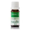Okaliptus Yağı 10 ML