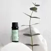 Okaliptüs Yağı 10 ml