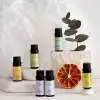Okaliptüs Yağı 10 ml