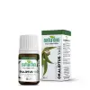 Okaliptus Yağı 20 Ml
