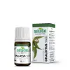 Okaliptus Yağı 20 Ml