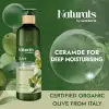 Olive Vücut Losyonu 490 Ml