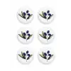 Olivos Sosluk Çerezlik 6lı Set 10 cm