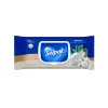 Organik Bambu ve Pamuk Islak Mendil 1X50