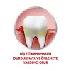 Orijinal Günlük Florürsüz Diş Macunu 75 mL