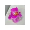 Orkide toka, TYBB964M3MTH29UG63