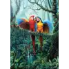 Ormandaki Aşk 260 Parça Puzzle