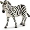 Oyuncak, Dişi Zebra, Figürü