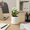 Özel Baskı Raf Masa 3D Beyaz Ayaklı Saksı