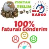 Özel Üretim Saksılık Bodur 5 adet Saksı