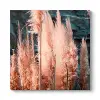 Pampas Otu Tablosu 30 x 30
