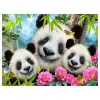 Panda Peluş ve Selfie 48 Parça Puzzle