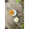 Papatya Çiçek Mum Kalıbı (, Silikon)