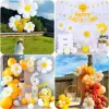 Papatya Folyo Balon 1 Adet