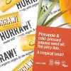 Papaya Pineapple Ananas Aromalı Lip Balm